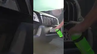 Как работает очиститель насекомых Shine Systems InsectOff 
