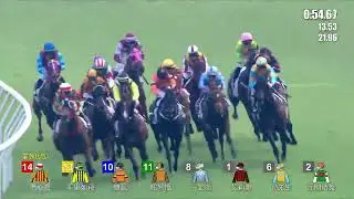 【賽後你點睇】24/25 #17 沙田日賽 — Part 3/4（11月3日）