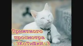 Как видео с бандикама монтировать в Sony Vegas Pro 10