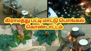 கிராமத்து பட்டி பொங்கல்/மாட்டு பொங்கல்/Village Pongal Celebration/Maattu Pongal/Anitha's Tamil Vlogs