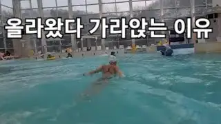 접영 타이밍의 중요성