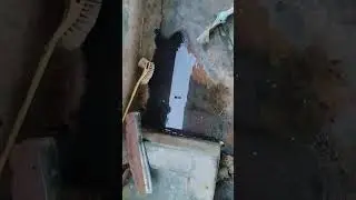 Cambal Kida/Bhaloo Kida