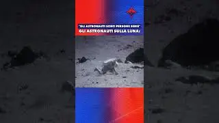 ASTRONAUTI CHE INCIAMPANO SULLA LUNA 😂 #sbarcosullaluna #missioniapollo #nasa