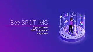 Bee SPOT IMS: Группировка SPOT ордеров в сделки