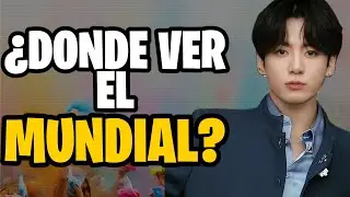 ¿Dónde Ver La Ceremonia De Apertura Del Mundial Qatar 2022?
