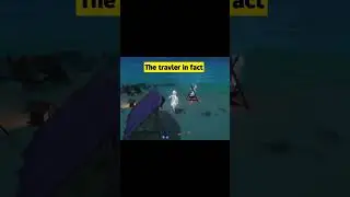 The travler in Genshin lmpact story