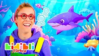 Akvaryuma gidelim! | Çocuklar için Köpekbalığı Videoları | Kidibli