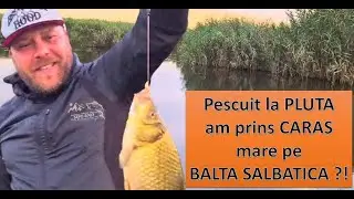PESCUIT  la  PLUTA - am prins CARAS mare pe BALTA SALBATICA ?!