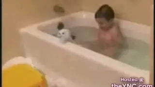 Cats that make you laugh