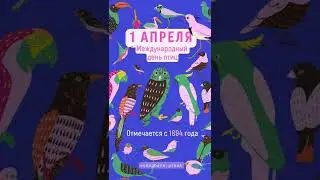 #shorts #birds #птицы #экология