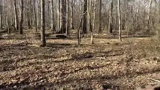 Off Trial Through The Woods 2021 CanAm Outlander 570