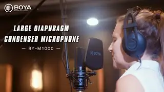 BY-M1000 Large Diaphragm Condenser Microphone