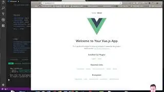 VueJS CLI: Basics | Level 3-3: Start up project with NPM