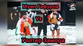 Муин Гафуров vs Уолтер Замора Бой 2021 Абу-Даби
