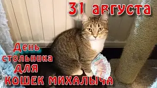 31 августа День Стольника для КОШЕК МИХАЛЫЧА.