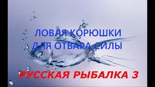 Русская рыбалка 3. Ловля корюшки для отвара силы