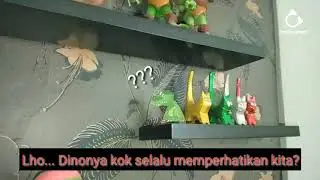Tutorial, Dino kertas selalu memperhatikan kita