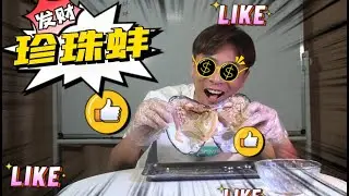 【⚠️蛊惑帮⚠️】會員專享！蠱惑幫日常搞事！十個蚌能開多少珍珠？又值多少錢呢？他們竟找到了大海盡頭的「oneplus