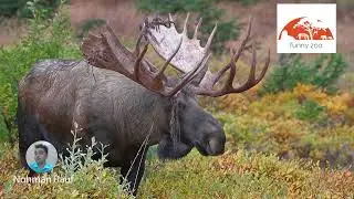 Nature in Alaska!