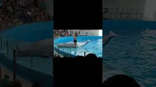 Океанариум в Анапе.👍👍👍