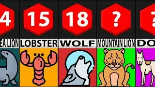 Comparison | Longevity Of Animals