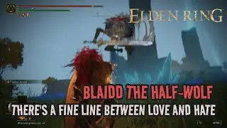 BLAIDD THE HALF-WOLF - there's a fine line between love and hate, I didn't want these