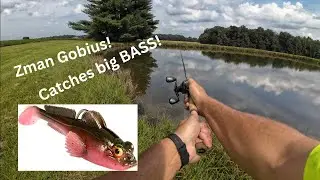 Zman Gobius catches BIG largemouth bass!