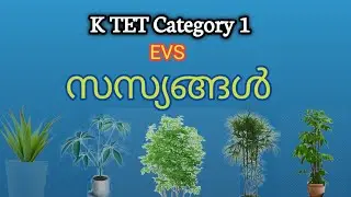 സസ്യങ്ങൾ || K TET Category 1 EVS || ktet category 1 online class