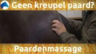 Zo voorkom je een kreupel paard | NH Bokt TV