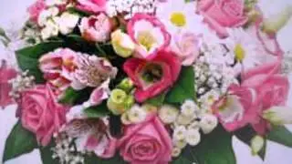 animoto 720p42