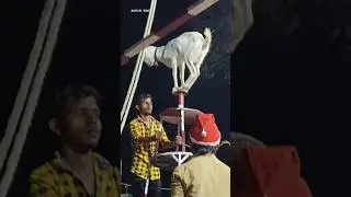 Full Video 💯 Click 👇 Village Circus Show 