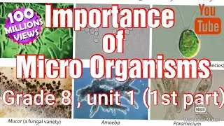 Importance of Micro Organisms |grade 8 | unit 1 (first part) | explaining | in English ||