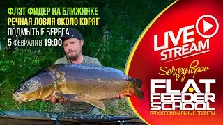 ФЛЭТ ФИДЕР под ногами / Речная ловля в корягах / #33 Лекция / FLAT FEEDER SCHOOL