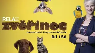 Zvěřinec - Díl 156. - Kočičí útulky