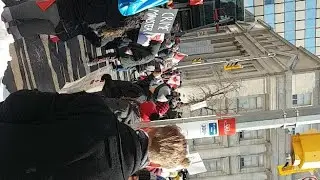 How the Freedom Convoy in Toronto rolled in and unfolded