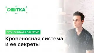 «Кровеносная система и ее секреты» | ОГЭ БИОЛОГИЯ 2020 | Онлайн-школа СОТКА