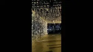 Chritmas Tree and Christmas Lights in Canada | Surrey Central | Grater Vancouver |
