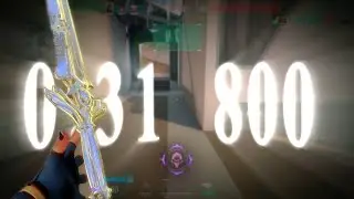 0.31 800.