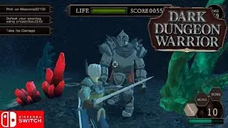 Dark Dungeon Warrior Nintendo switch gameplay