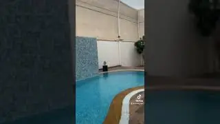 Отзыв с тусовки! - alinamodels.com