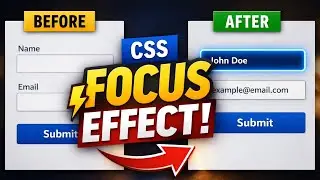 How to Create CSS Input Focus Effect | Accessible Form
