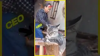 CEO sleeping on the job 😮😂