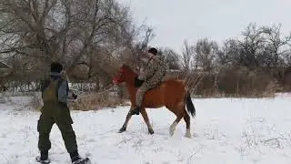 Болар бала бесігінде бұлқынады, Болар құлын желісінде жұлқынады!