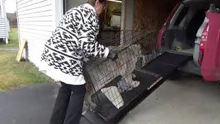 Max Canada Lynx New Loading Ramp