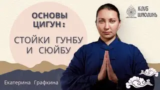 Стойки Гунбу и Сюйбу. Основы цигун. Цигун для начинающих.