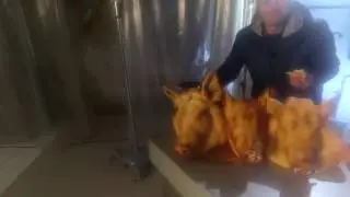 КАК СНИМАЛСЯ НОВЫЙ КЛИП МС МОПСА 'ЗОЛОТАЯ КОСТЬ ЮТУБА' часть 2