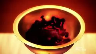 Focus on Fate Zero