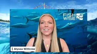 Common Ground Webinar: Seafood Import Monitoring Program