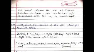 Class 11|| Chemistry || Sulphur || All important questions || My assignment
