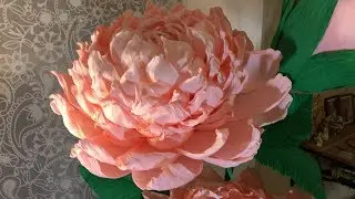 A full-length pink flower